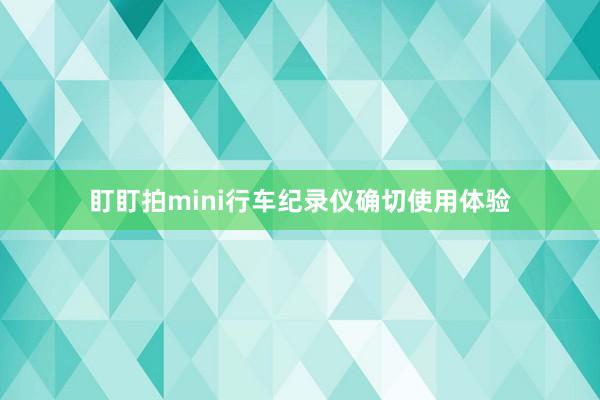 盯盯拍mini行车纪录仪确切使用体验